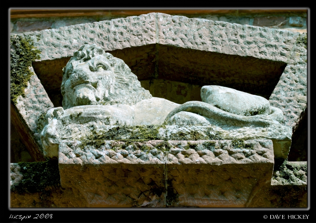 More Europe06 Lion, Heidelberger Schloss